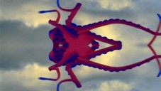 René & Radka vytvořili z letící chobotnice přelud