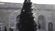 Hlavní město USA má explodující vánoční strom