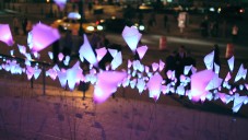 Svítící květiny z LED diod zahájily festival Tribeca