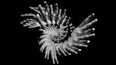 Fingered je kaleidoskopická animace vytvořená z rukou