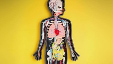 Kelli Anderson vytvořila animaci lidského těla z papíru