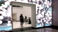 Terrell Place má stěnu z displejů plného interaktivních květů