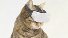 PVRR navrhlo kočkám headset pro virtuální realitu CatVR