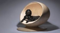 Zaha Hadid Design ukazují výrobu charitativního psího pelechu The Cloud