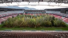 Umělec vysázel uprostřed rakouského stadionu 300 živých stromů