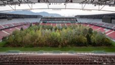 Umělec vysázel uprostřed rakouského stadionu 300 živých stromů