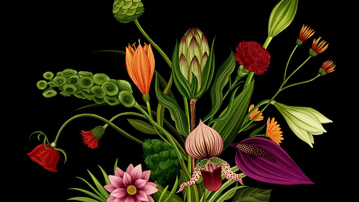 Britská ilustrátorka vytvořila animované video vyprávějící příběh rostlin