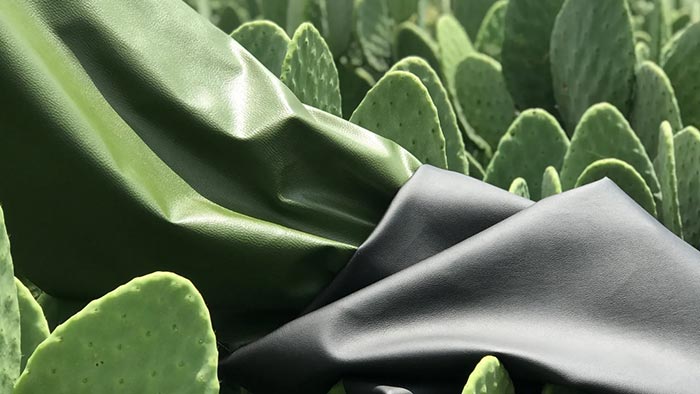 V Mexiku vyvinuli odolnou a jemnou veganskou kůži vyrobenou z kaktusů