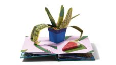 Americký fotograf vytvořil působivou pop-up knihu pokojových rostlin