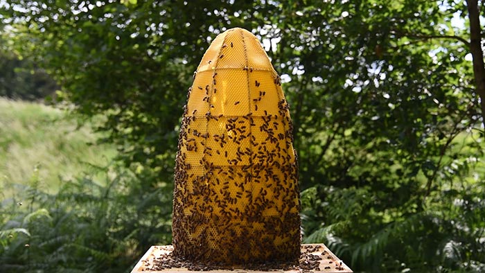 Slovenský umělec tvoří sochy za pomocí desítek tisíc včel