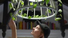 Švédka natočila podrobný návod na výrobu závěsného svítidla s živou květinou