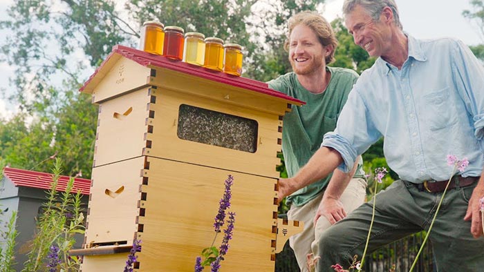 Včelí úl Flow Hive umožňuje sbírat čerstvý med přímo z úlu