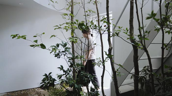 Tokijský dům Membrane House má místo střechy membránu a roste v něm strom