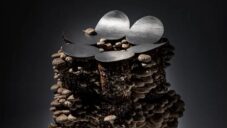 Fungi Stool je malá stolička plodící jedlé houby ze svých dřevěných nohou