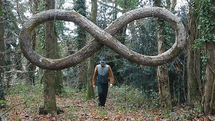 Monsieur Plant zauzloval kmeny stromů a vytvořil nevídanou sérii hyperrealistických děl