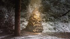 Škoda si natočila vánoční reklamu se stromkem ozdobeným v lese jako apel na udržitelnost