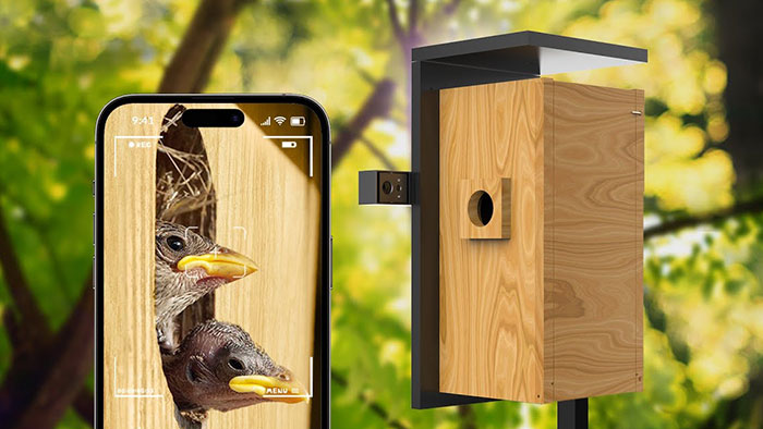 Birdfy Nest je ptačí budka v jednoduchém designu se dvěma integrovanými kamerami