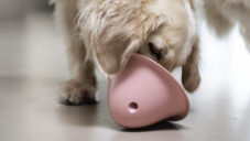 Bowly je hračka pro psy s tvarem připomínajícím misku a úchyty pro pamlsek