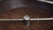 Australští inženýři využili kávovou sedlinu jako příměs do betonu pro jeho lepší pevnost