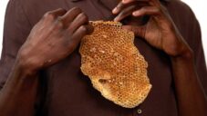 Londýnský šperkař vytvořil brože a prsteny Honeycomb s pomocí desítek tisíc včel