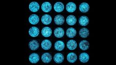 Algae Alight je nadějný experiment ukazující bioluminiscenční schopnosti některých řas