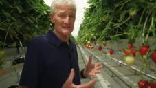 James Dyson ukazuje farmaření na jeho vlastní udržitelné farmě pěstující i jahody