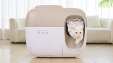 PetSnowy je samočistící toaleta pro kočky s možností sledování stavu zařízení mobilem