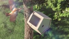Reli Birddy je budka pro ptáky s fotovoltaickým panelem a sledováním v aplikaci
