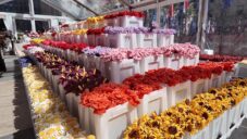 Cj Hendry otevřela newyorský Flower Market s 27 novými druhy plyšových květin