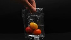 Japonci vyvinuli plastový obal snadno rozložitelný v obyčejné slané mořské vodě