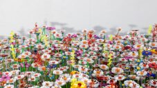 Nizozemská instalace Reflecting Diverseness je složená z 8 800 květin z recyklovaných materiálů