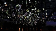 James Tapscott vytvořil v botanické zahradě instalaci z 1 200 žárovek odlitých z pryskyřice