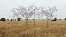 Vincent Leroy vytvořil na pláních v Tanzanii kinetickou instalaci Fractal Swarm poháněnou větrem