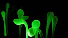 Botanická zahrada Praha láká na fascinující Křišťálovou zahradu od Jiřího Pačínka