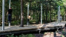 Stezka v lese dostala interaktivní sloupy přehrávající zvuky z lesa do uší návštěvníků