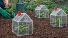 Američan vymyslel malé skleníky pro rostliny s tvarem průsvitného domku s červeným komínem