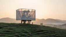 MAD vytvořili nad čajovou plantáží dočasnou instalaci Light fungující jako lucerna
