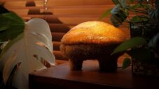 Gourdo je stolní lampa z přírodního kompozitního materiálu získaného z lufy a mycelia