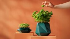 Potr představil květináč pro pokojové rostliny Helix rostoucí společně s nimi